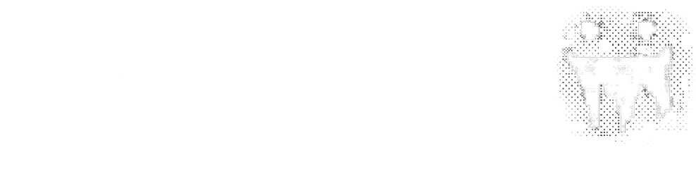 Eaglercraft